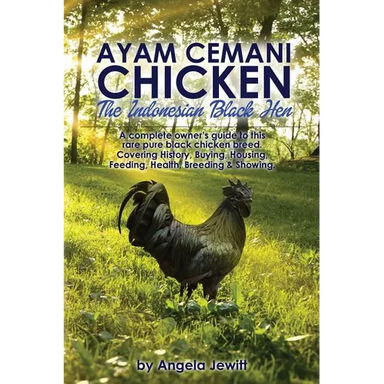 Ayam Cemani Chicken - The Indonesian Black Hen. A complete owner's guide to this rare pure black chicken breed. Covering History, Buying, Housing, Fee
