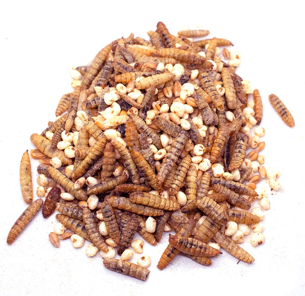 Pampered Chicken Mama Valentine's Goody Box - 7 Treats (12 pounds total!)