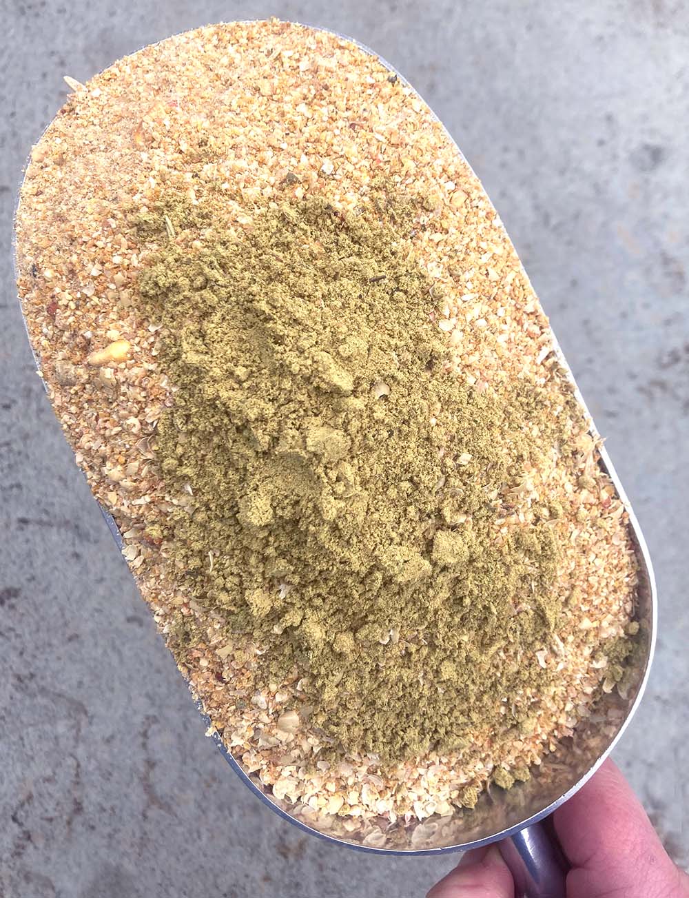 Pampered Chicken Mama Pumpkin Seed Delight - Add To Feed For For Healthy Coops