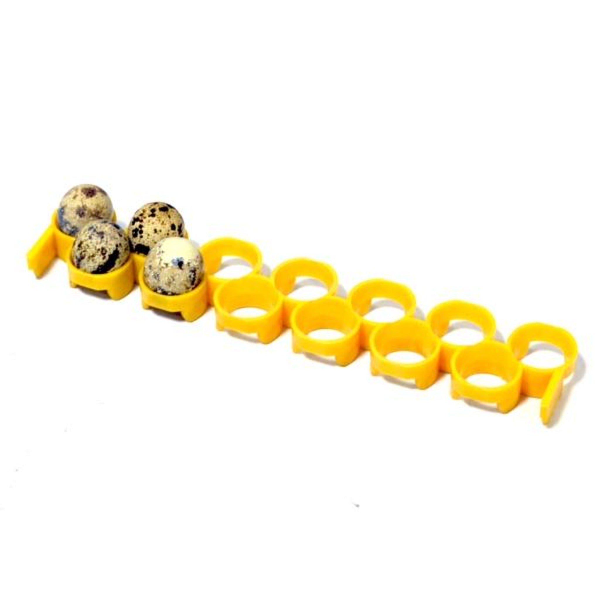 quail egg turner rack attachment for the Conturn30 Egg Turner.