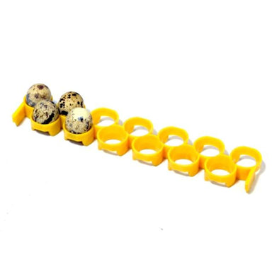 quail egg turner rack attachment for the Conturn30 Egg Turner.