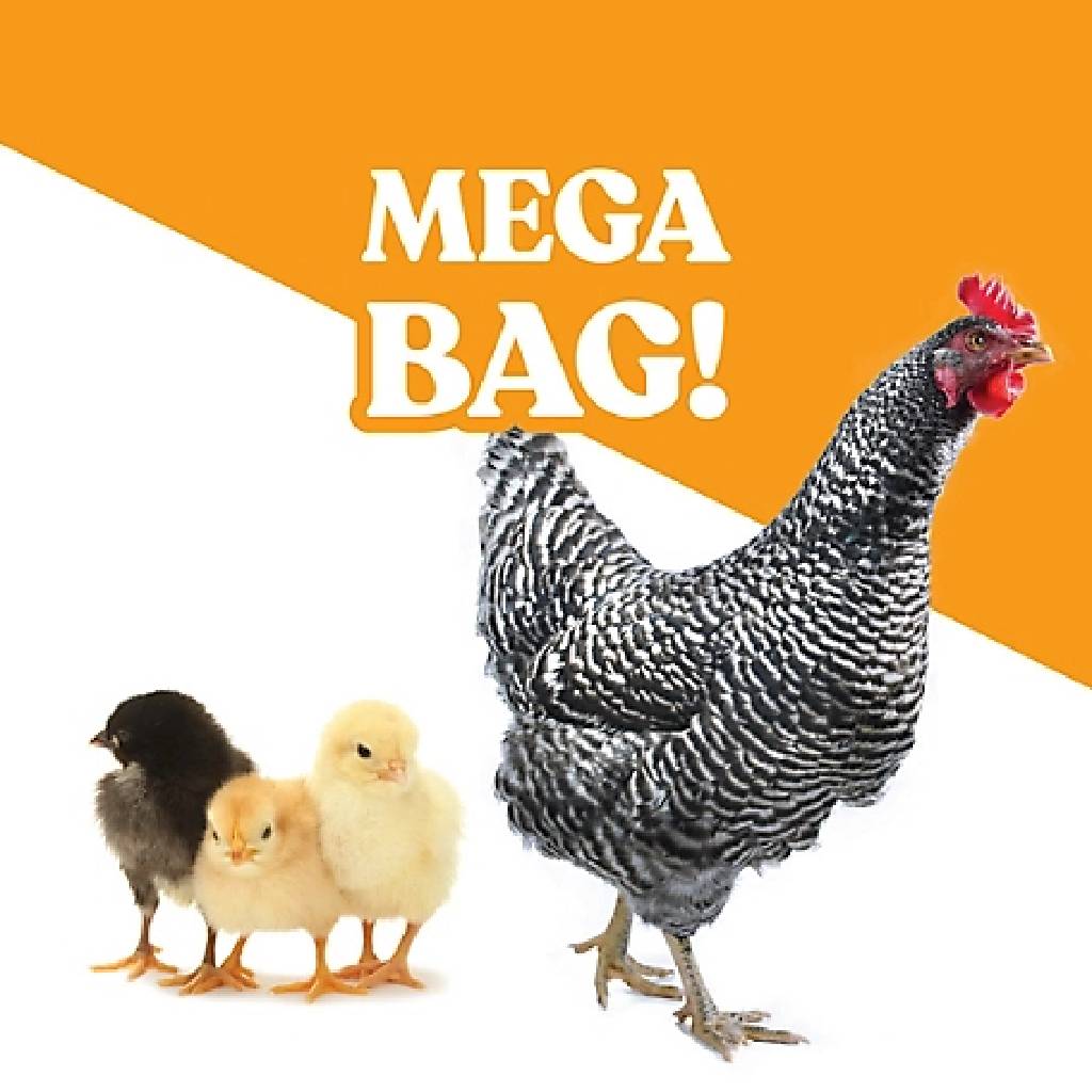 Manna Pro Hydro-Hen 3-in-1 Water Supplement (20 oz) mega bag