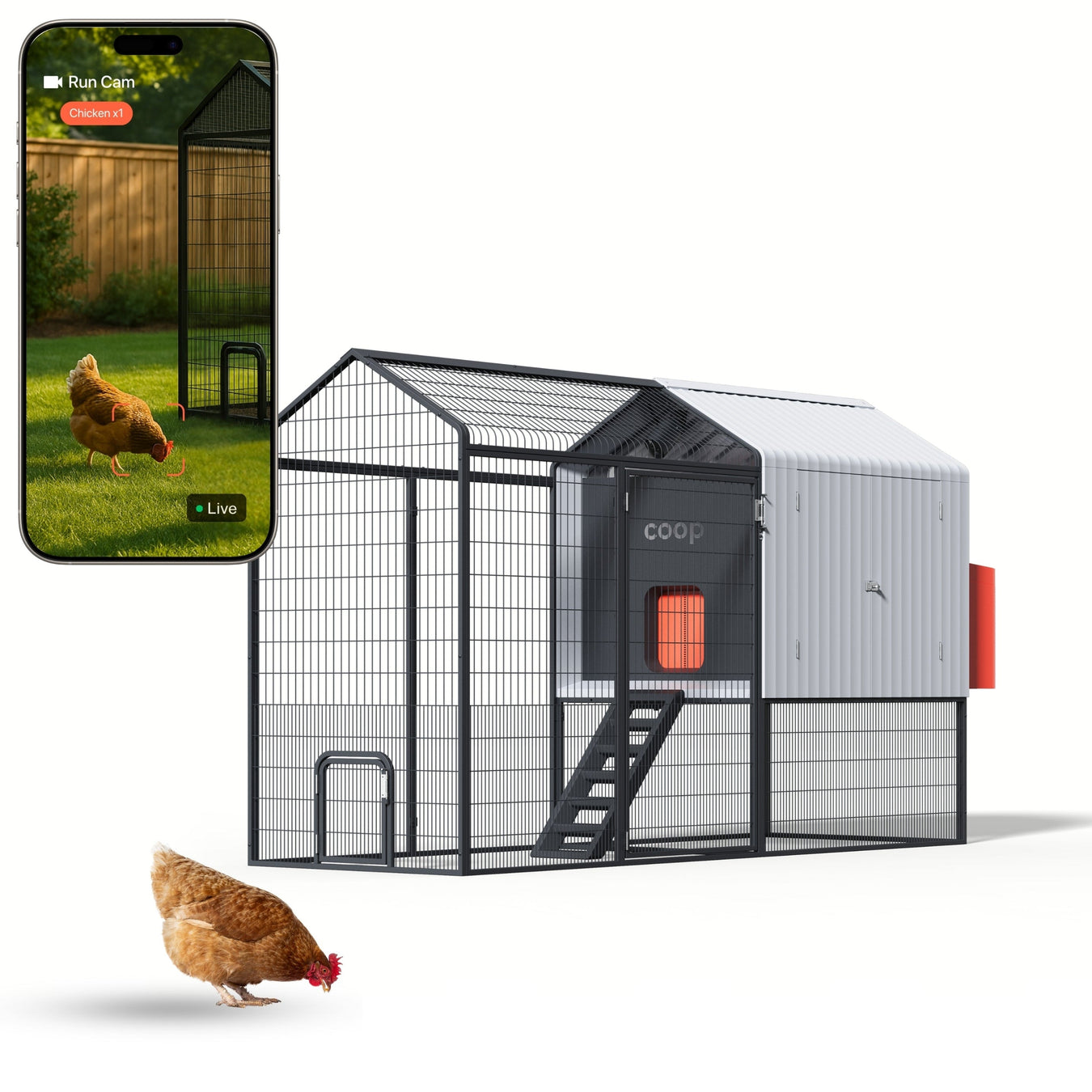 Plastic Chicken Coops