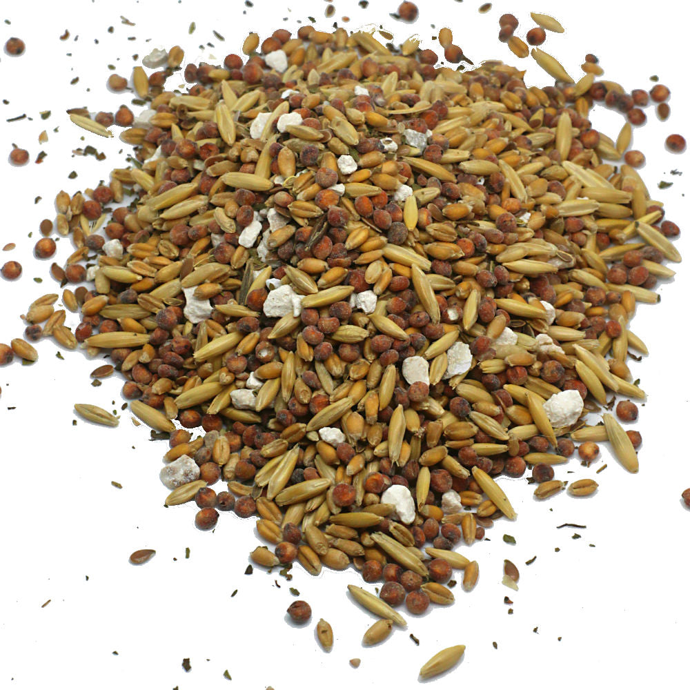 Pampered Chicken Mama Non-GMO Premium Chicken Scratch With Herbs To Encourage Positive Behaviors