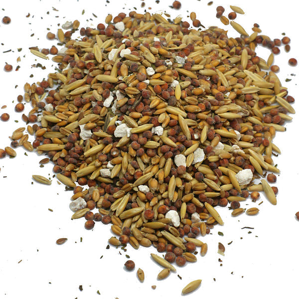 Pampered Chicken Mama Valentine's Goody Box - 7 Treats (12 pounds total!)