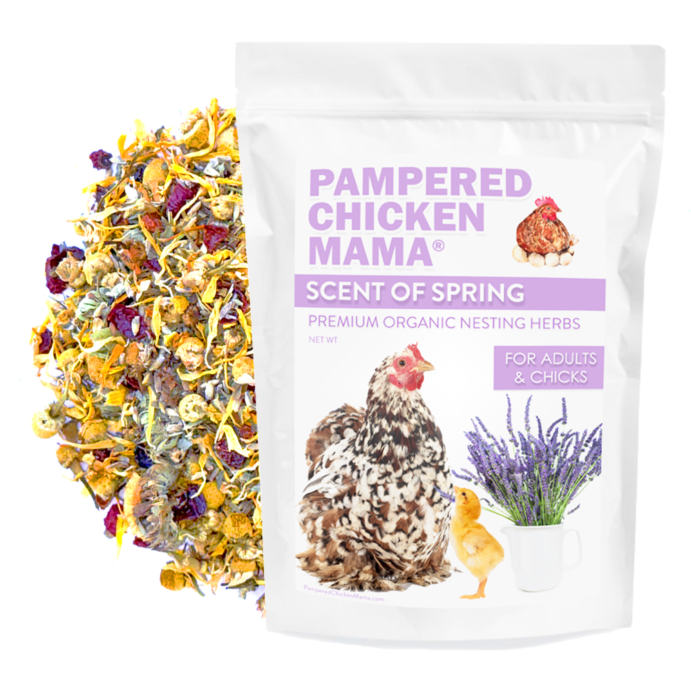 Pampered Chicken Mama Scent of Spring Nesting Herbs For Backyard Chickens With Lavender, Chamomile, Calendula, and more!