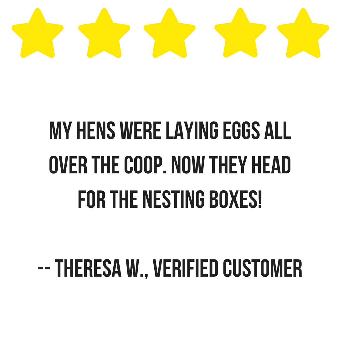 Pampered Chicken Mama Scent of Spring Nesting Herbs For Backyard Chickens With Lavender, Chamomile, Calendula, and more!