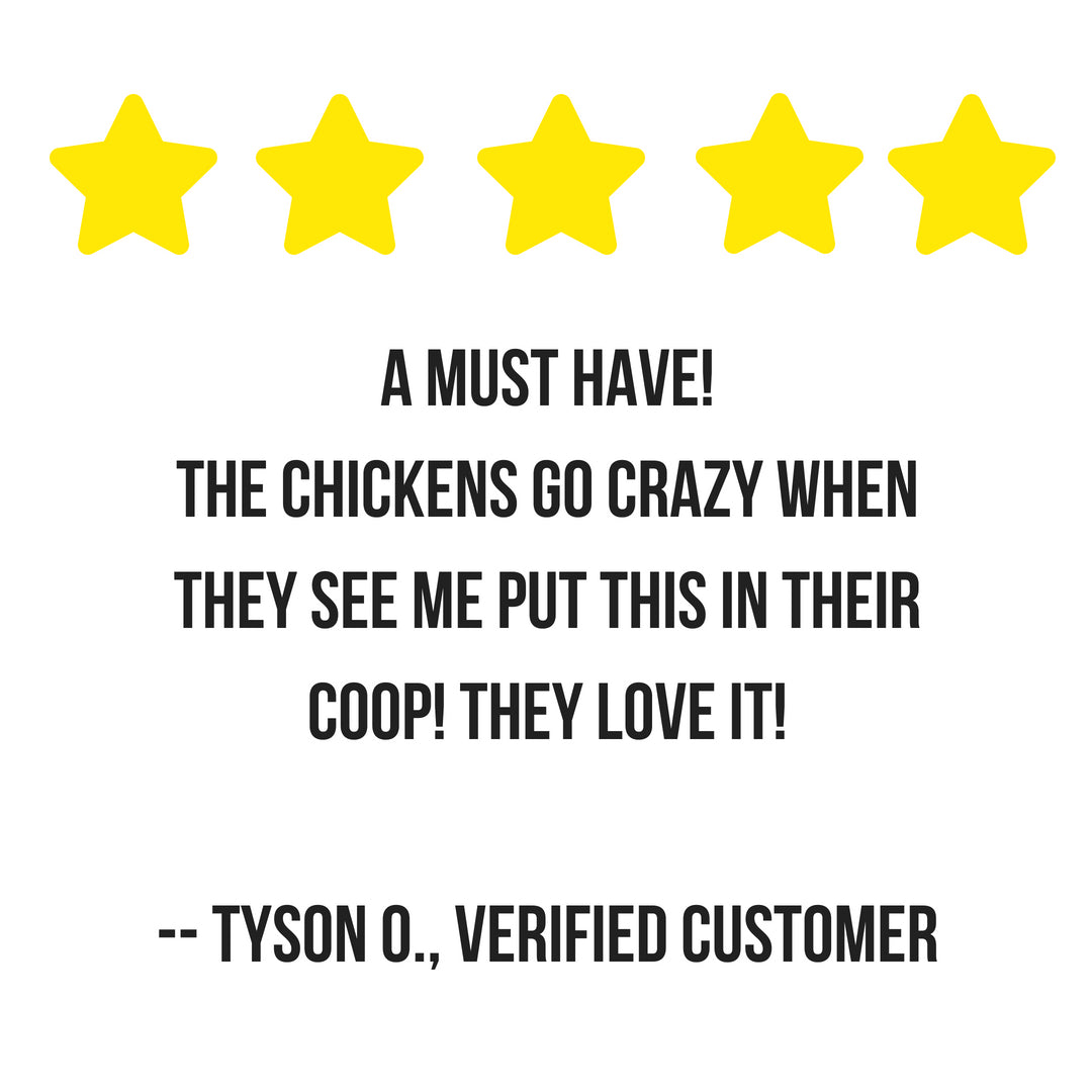 Pampered Chicken Mama Scent of Spring Nesting Herbs For Backyard Chickens With Lavender, Chamomile, Calendula, and more!