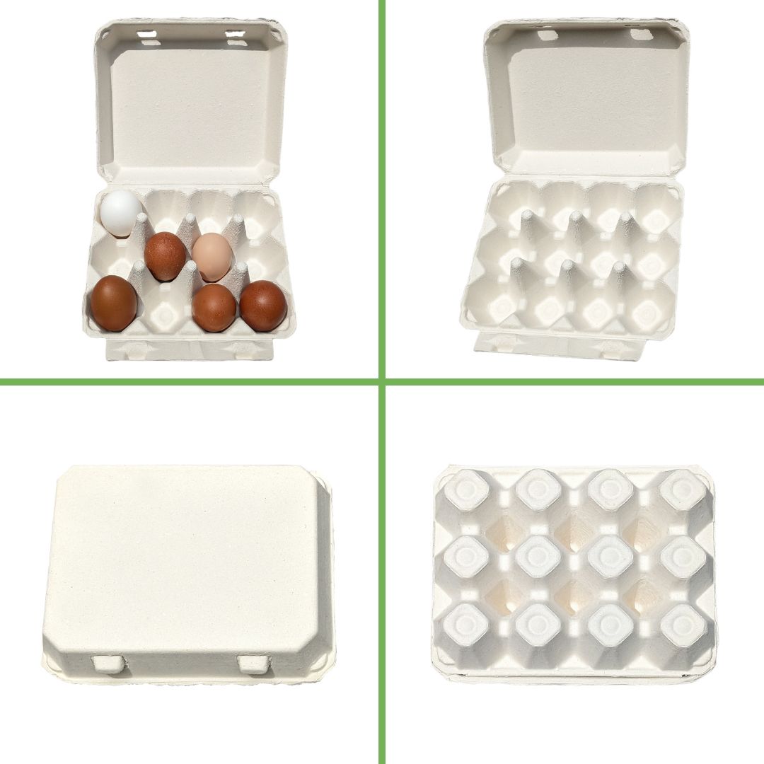 Henlay Vintage Blank Egg Cartons Tan or White