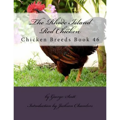 The Rhode Island Red Chicken: Chicken Breeds Book 46