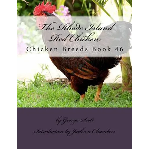 Rhode Island Red