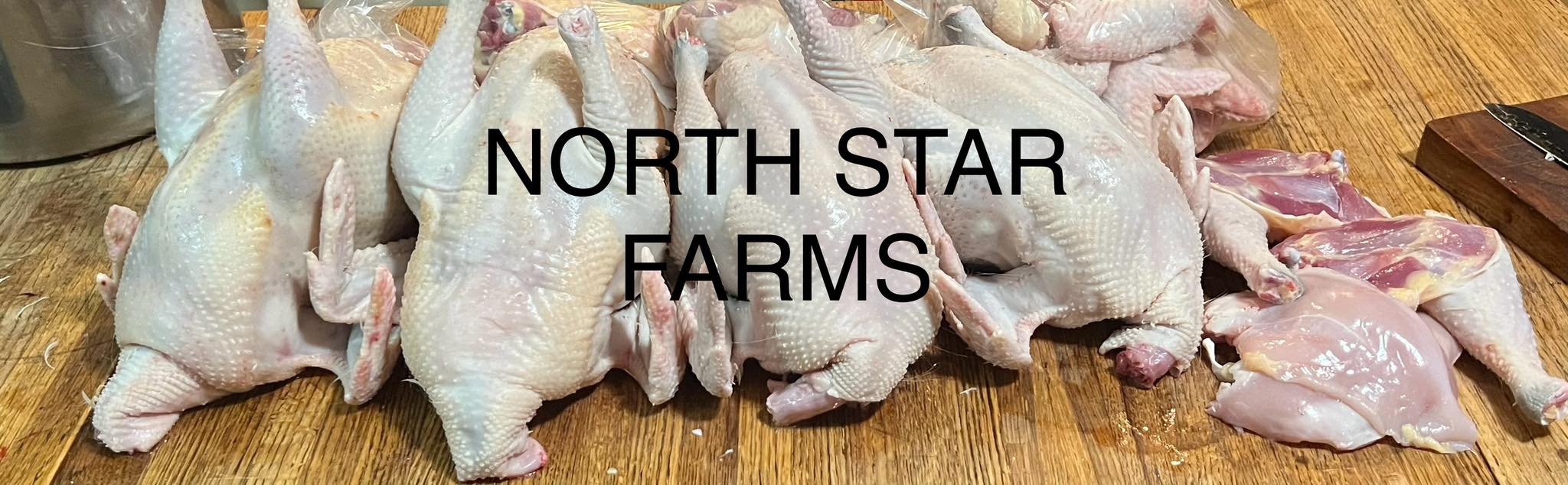 North Star Farms White American Bresse Hatching Eggs meat hens