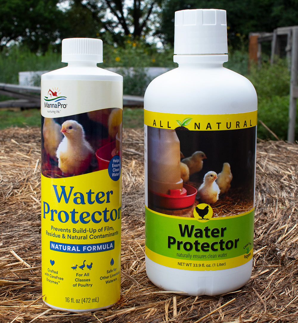 MannaPro Poultry Water Protector: Keeps Waterers Clean Longer!