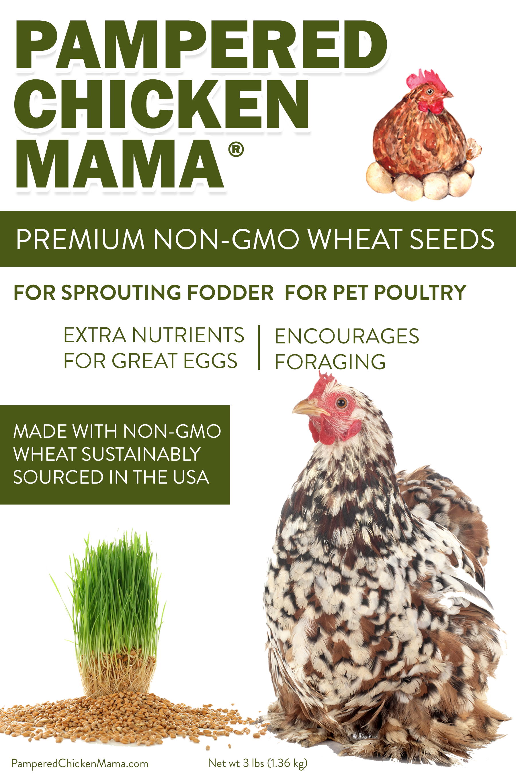 Pampered Chicken Mama Non-GMO Wheat Seeds for Sprouting Fodder (Wheat Grass)
