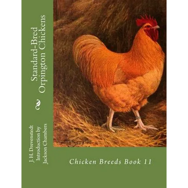 Standard-Bred Orpington Chickens: Chicken Breeds Book 11